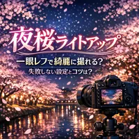 夜桜 ライトアップ 一眼レフで綺麗に撮れる？失敗しない設定とコツは？